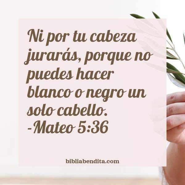 ¿Qué significa el Versículo Mateo 5:36?, la importancia y las lecciones que podemos conocer de este verso de la biblia. Explicación de Verso Mateo 5:36 en la biblia