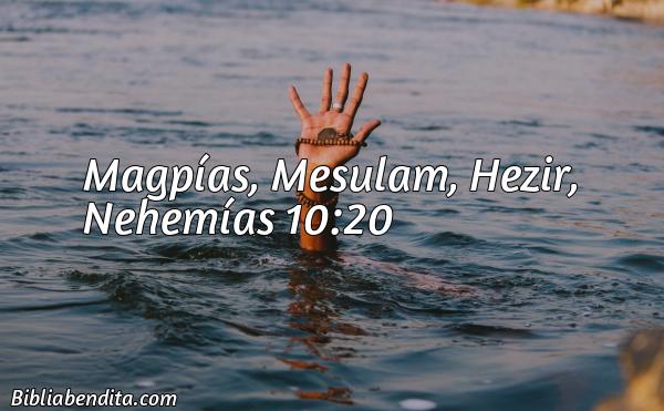 ¿Qué significa el Versículo Nehemías 10:20?, su importancia y  que podemos aprender en este versículo de la biblia. Explicación de Verso Nehemías 10:20 en la biblia