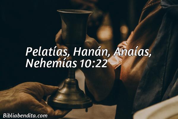 ¿Qué significa el Versículo Nehemías 10:22?, su importancia y las lecciones que podemos conocer de este versículo de la biblia. Explicación de Verso Nehemías 10:22 en la biblia