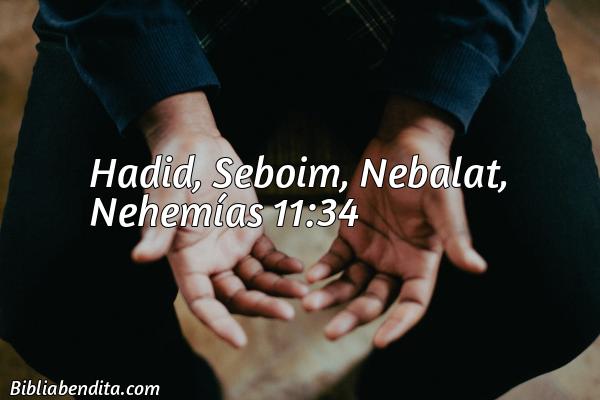 ¿Qué significa el Versículo Nehemías 11:34?, su importancia y las reflexiones que podemos conocer con este versículo de la biblia. Explicación de Verso Nehemías 11:34 en la biblia
