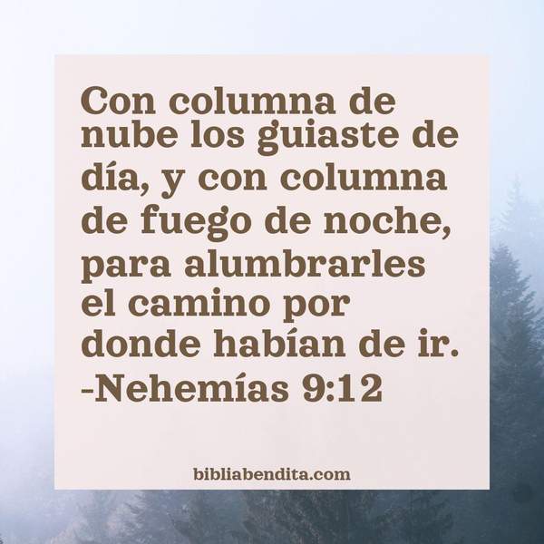 ¿Qué significa el Versículo Nehemías 9:12?, su importancia y las lecciones que podemos conocer con este versículo de la biblia. Explicación de Verso Nehemías 9:12 en la biblia