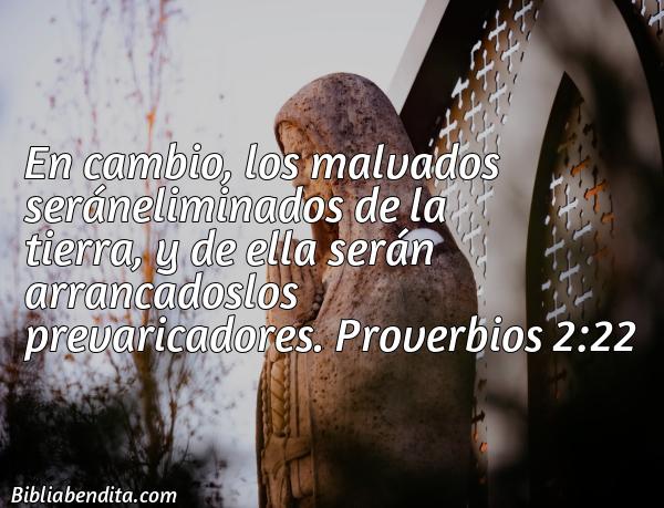 ¿Qué significa el Versículo Proverbios 2:22?, su importancia y las enseñanzas que podemos conocer con este verso de la biblia. Explicación de Verso Proverbios 2:22 en la biblia