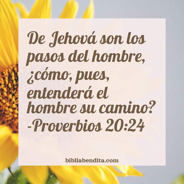 ¿Qué significa el Versículo Proverbios 20:24?, su importancia y las enseñanzas que podemos conocer con este verso de la biblia. Explicación de Verso Proverbios 20:24 en la biblia