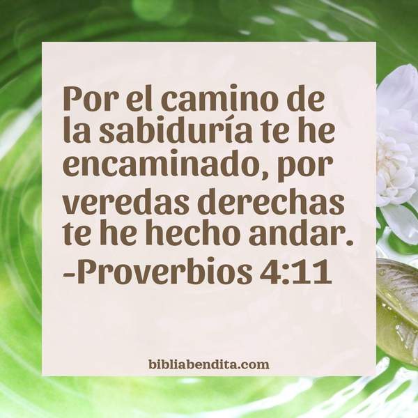 ¿Qué significa el Versículo Proverbios 4:11?, su importancia y las reflexiones que podemos conocer de este versículo de la biblia. Explicación de Verso Proverbios 4:11 en la biblia