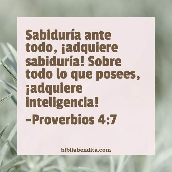 ¿Qué significa el Versículo Proverbios 4:7?, su importancia y las lecciones que podemos aprender en este versículo de la biblia. Explicación de Verso Proverbios 4:7 en la biblia