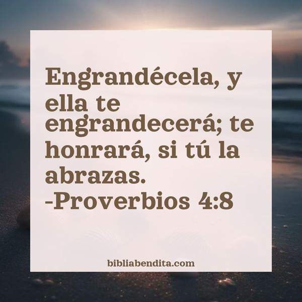 ¿Qué significa el Versículo Proverbios 4:8?, la importancia y  que podemos conocer con este verso de la biblia. Explicación de Verso Proverbios 4:8 en la biblia