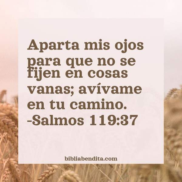 ¿Qué significa el Versículo Salmos 119:37?, la importancia y las lecciones que podemos aprender en este versículo de la biblia. Explicación de Verso Salmos 119:37 en la biblia