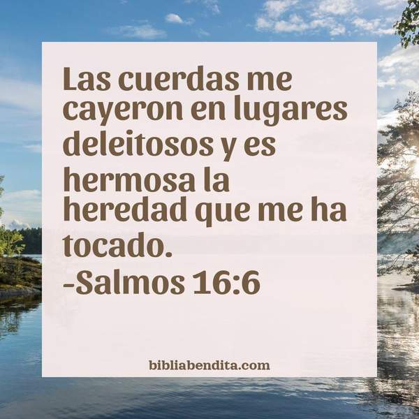 ¿Qué significa el Versículo Salmos 16:6?, su importancia y las reflexiones que podemos conocer en este verso de la biblia. Explicación de Verso Salmos 16:6 en la biblia