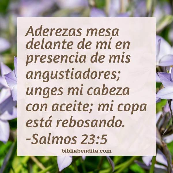 ¿Qué significa el Versículo Salmos 23:5?, la importancia y las lecciones que podemos conocer de este versículo de la biblia. Explicación de Verso Salmos 23:5 en la biblia