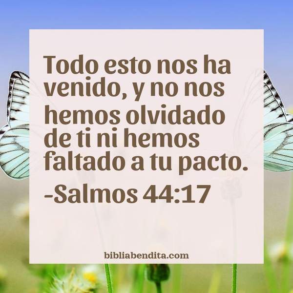 ¿Qué significa el Versículo Salmos 44:17?, la importancia y las enseñanzas que podemos conocer con este versículo de la biblia. Explicación de Verso Salmos 44:17 en la biblia