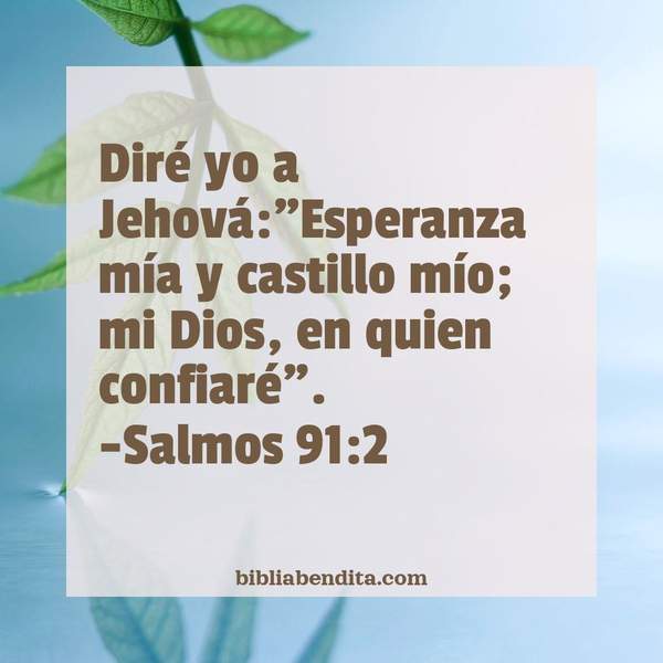 Explicación Salmos 912 Diré Yo A Jehováesperanza Mía Y Castillo Mío Mi Dios En Quien 9983