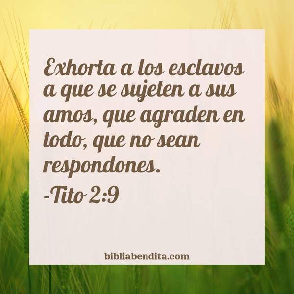 ¿Qué significa el Versículo Tito 2:9?, su importancia y las reflexiones que podemos conocer con este versículo de la biblia. Explicación de Verso Tito 2:9 en la biblia