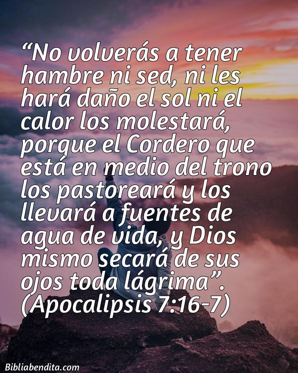 Mejores Versículos de la Biblia sobre Animo: No volverás a tener hambre ni sed, ni les hará daño el sol ni el calor los molestará, porque el Cordero que está en medio del trono los pastoreará y los llevará a fuentes de agua de vida, y Dios mismo secará de sus ojos toda lágrima. Apocalipsis 7:16-7