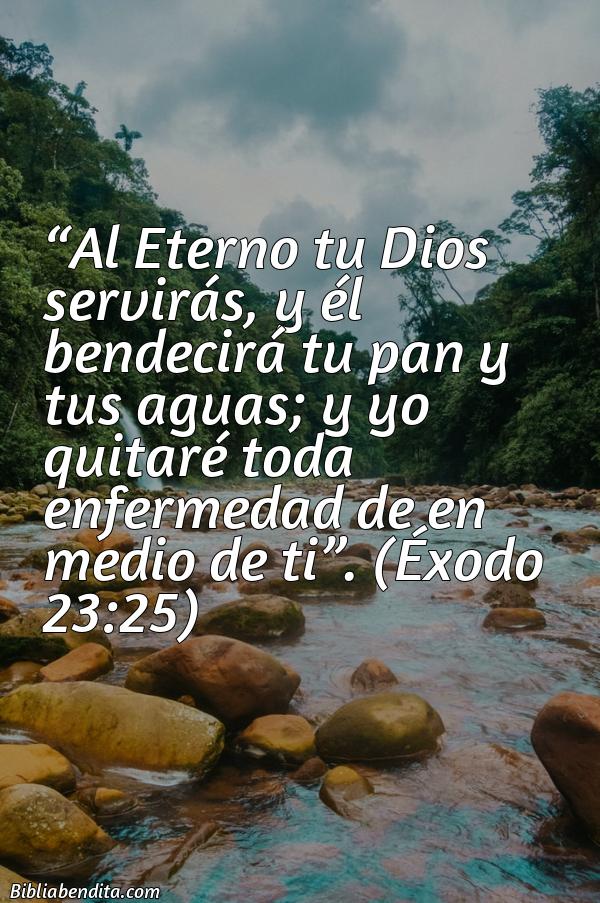 11 Versículos De La Biblia Sobre Enfermedad Biblia Online 4483