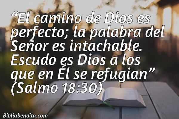 Mejores versículos de la biblia sobre protección: El camino de Dios es perfecto; la palabra del Señor es intachable. Escudo es Dios a los que en Él se refugian Salmo 18:30