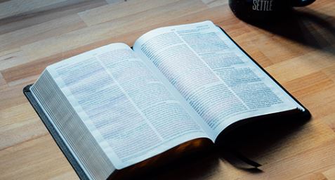 es posible leer la biblia en un solo dia