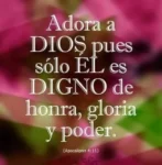 Alberto Villarreal Aguilar